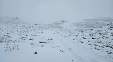 أجواء باردة تهدد بالانزلاقات.. توقعات طقس لبنان خلال الأيام المقبلة